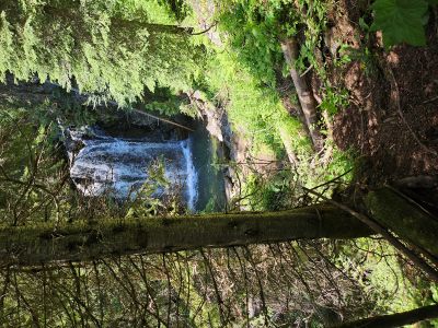 Falls Along the Trail