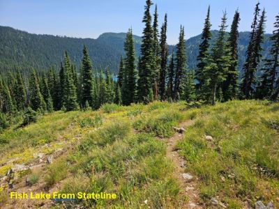 Fish Lake From Stateline