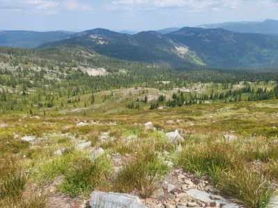 Stateline From Ridge Above Kelly Lake