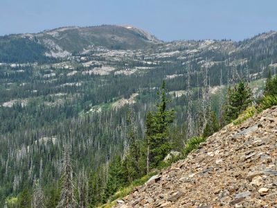 Looking North to Kid Lake