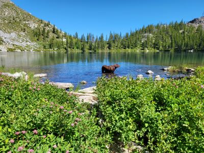 North Cache Lake 42 years