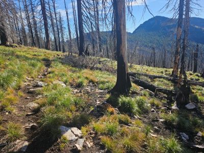 Trail Near Dry Creek
