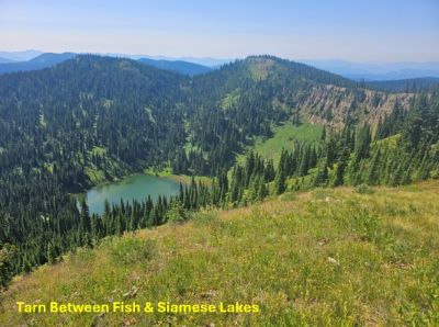 Tarn between Siamese & Fish