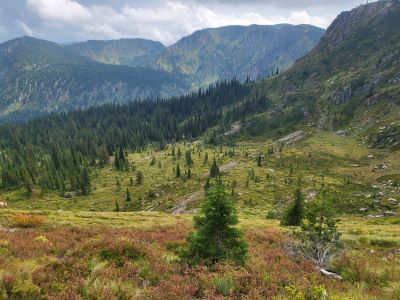 Looking Down Trail 171