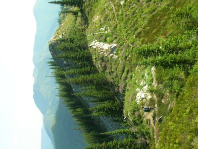 Between Goose & Siamese Lakes