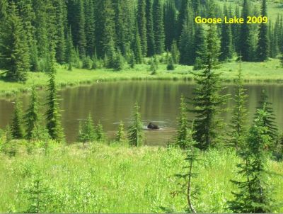 Goose Lake 2009