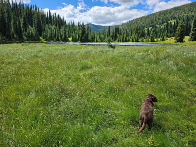 Goose Lake 2024