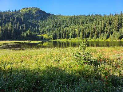 Goose Lake 2024