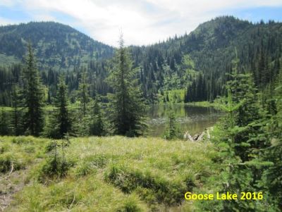 Goose Lake 2016