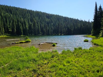 WestForkFish2