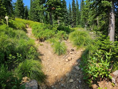 West Fork Fish Creek Lake 2