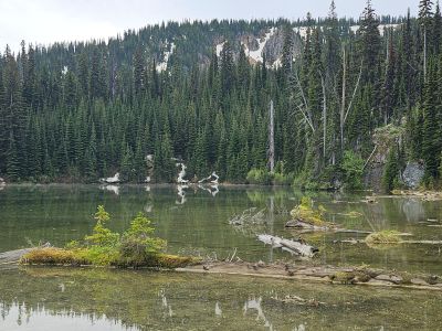 Schley Lake 2025