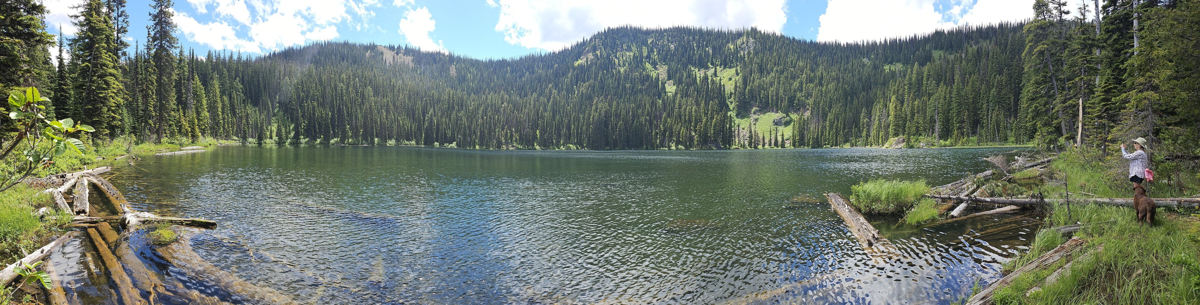 Surveyor Lake