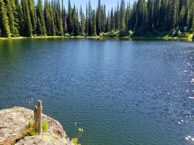 Tadpole Lake 2020