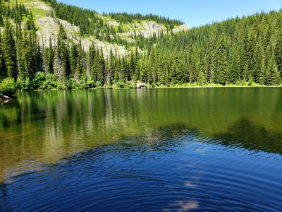 Tadpole Lake 2020