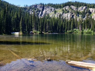 Tadpole Lake 2021