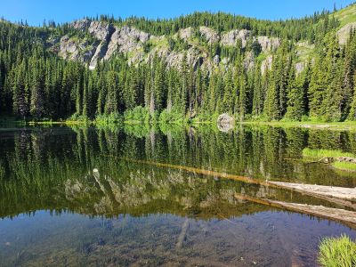 Tadpole Lake 2024