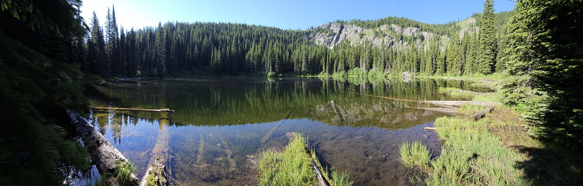 Tadpole Lake