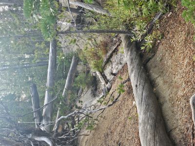 CreekCross1
