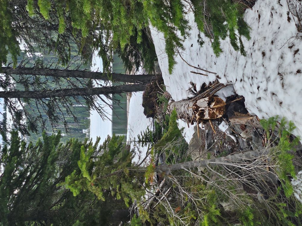 Lower Blossum Lake May 2024