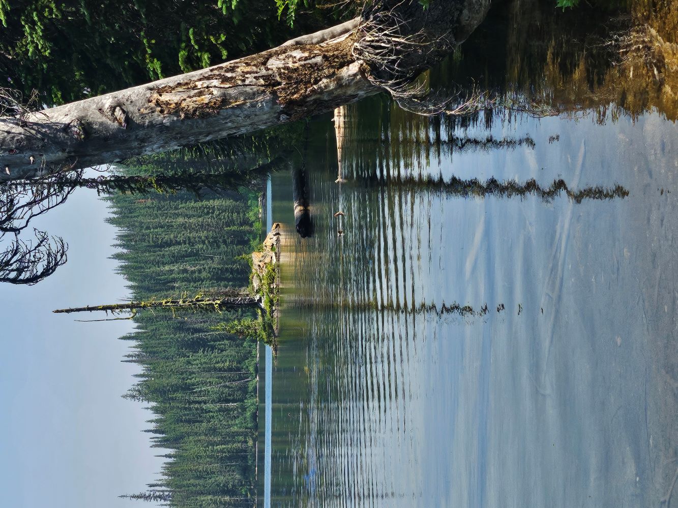 South Cedar Log Lake