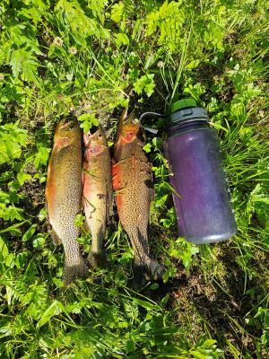 Part of Days Catch
