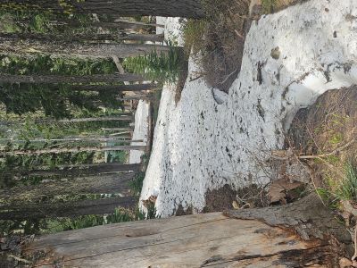 Upper Blossom Lake
