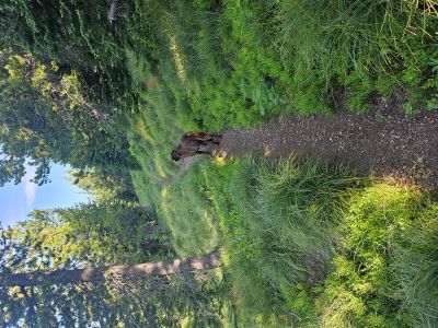 Stateline Trail