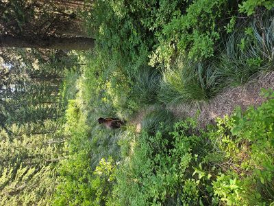 Trail 616