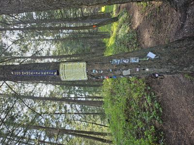 Dog Memorial