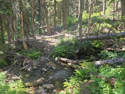 Last Creek Crossing
