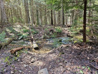 First Creek Crossing