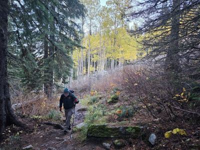Along the Trail