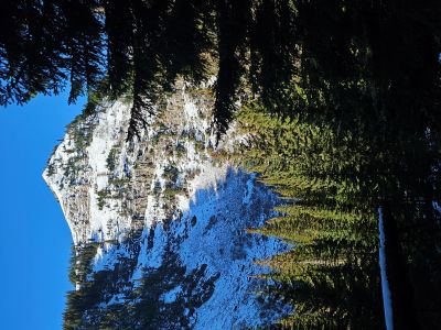 Along the Trail