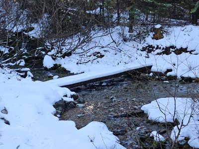 Creek Crossing