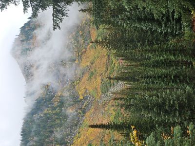 Along the Trail