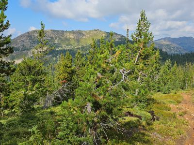 Binocular Peak