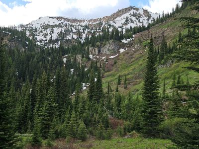 Heading Up the Trail
