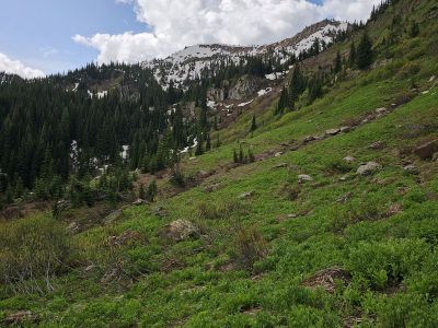 Heading Up the Trail