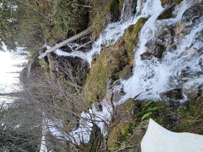 Creek Crossing