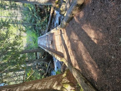 Bridge at 3-Mile