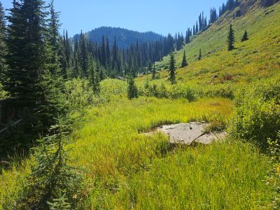Foley Basin