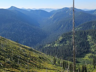 Vann Lake Drainage