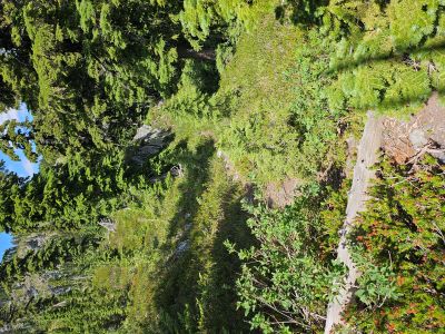 Start of Primitive Trail