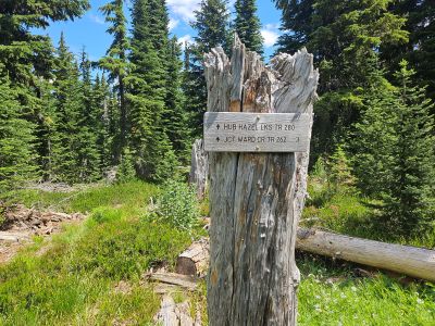 Saddle Between Eagle & Ward