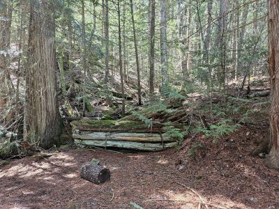 Old Cabin