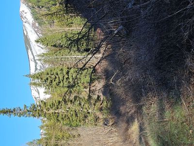 North Fork Trail
