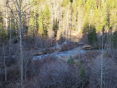 Straight / North Fork