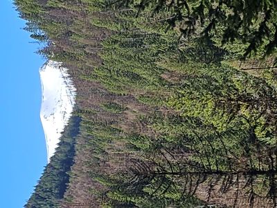 Crater Mountain
