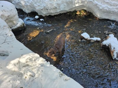 Creek Crossing